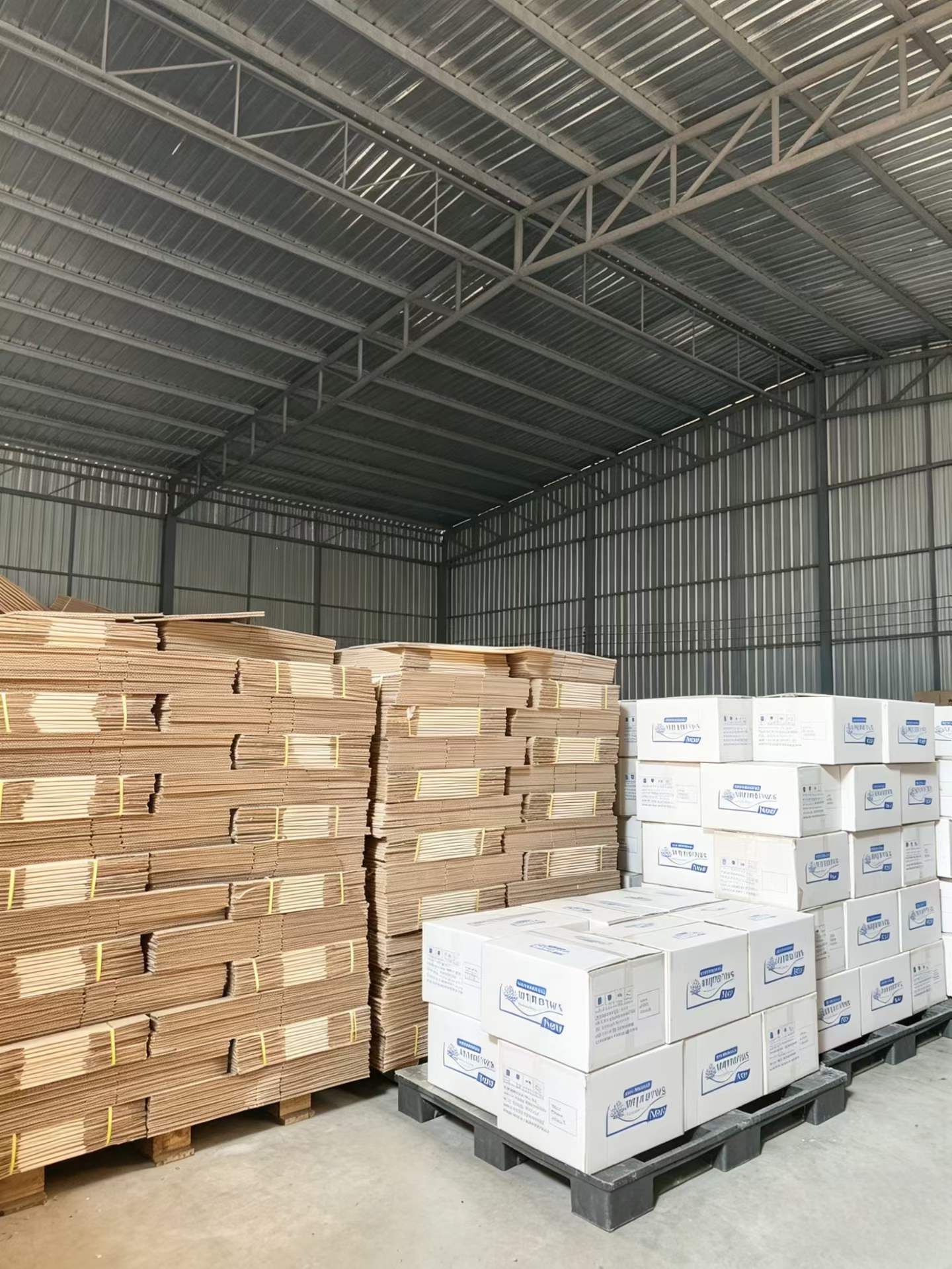 RAY (Thailand) bulk warehouse stacked with corrugated cartons and finished cosmetics ready to ship